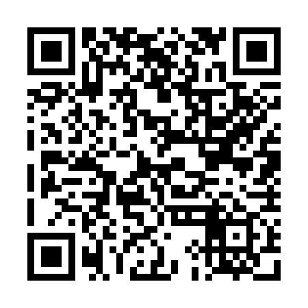 QR code for DIG379