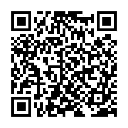 QR code for DIG563