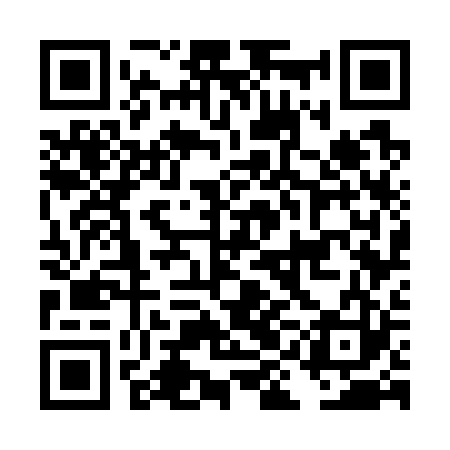 QR code for DIG723