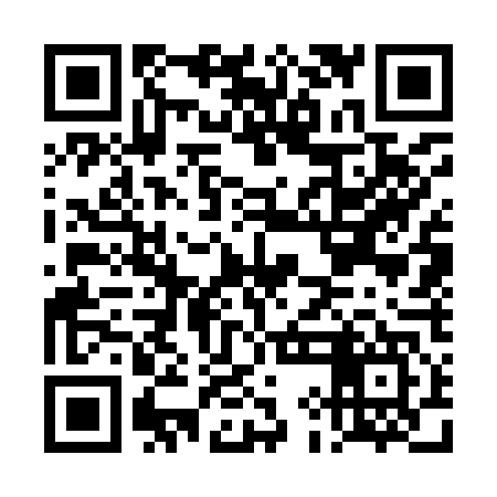 QR code for DIG947