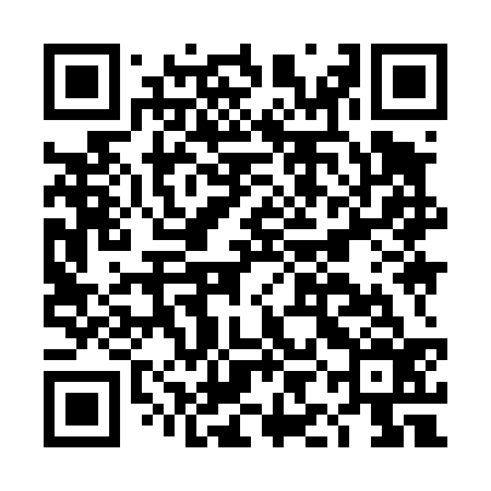 QR code for DII436
