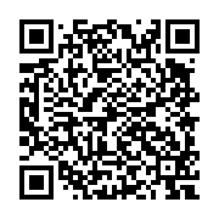 QR code for DIM493