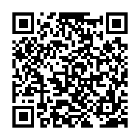 QR code for DIM736