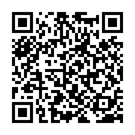 QR code for DINN19