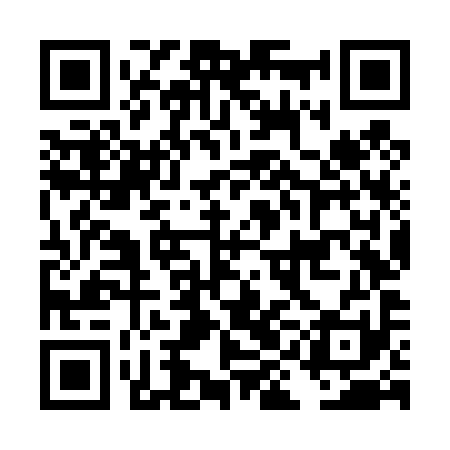 QR code for DINT91