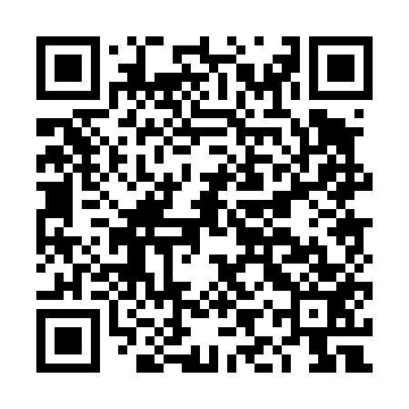 QR code for DIP453