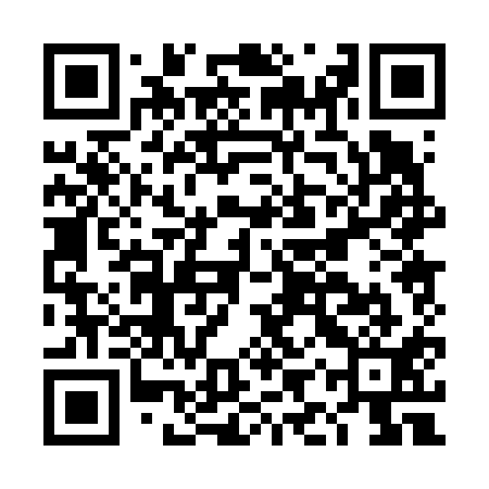 QR code for DIP611