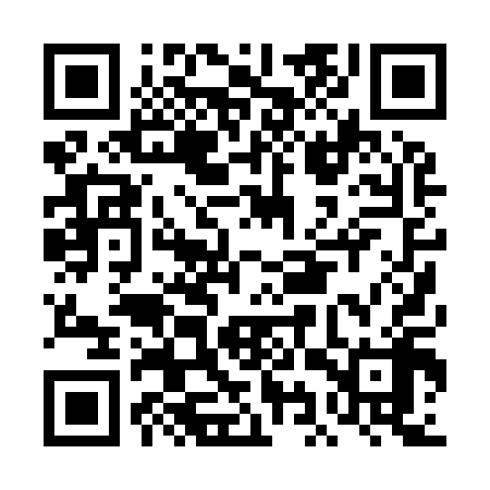 QR code for DIP918