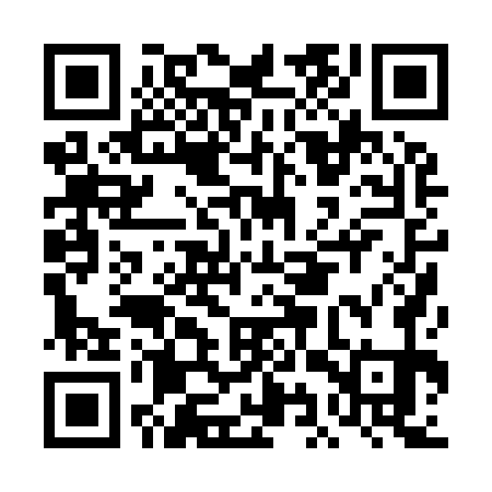 QR code for DIP971