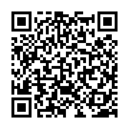 QR code for DIR538