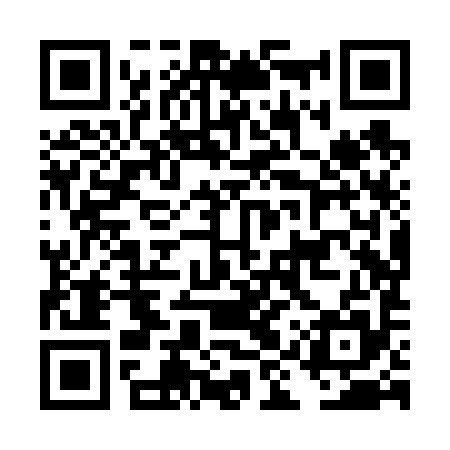 QR code for DIXV95