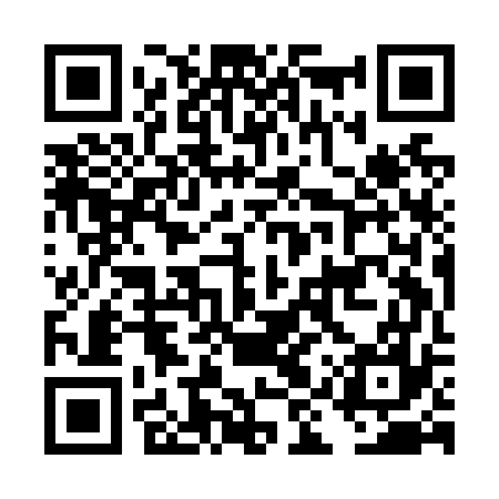 QR code for DIYN77