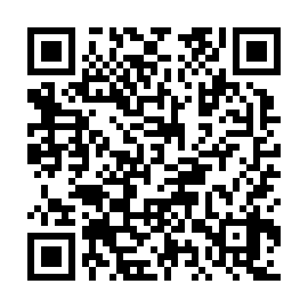 QR code for DIYZ38