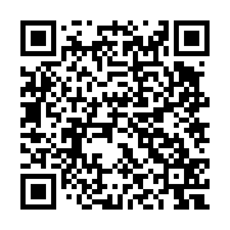 QR code for DIZ437