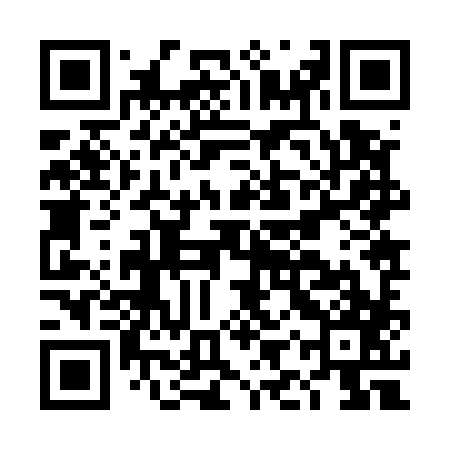 QR code for DIZ587