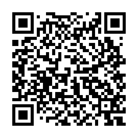 QR code for DJG313