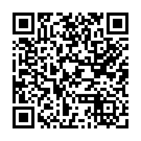 QR code for DJO313