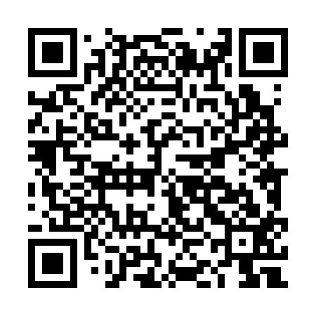 QR code for DKL313