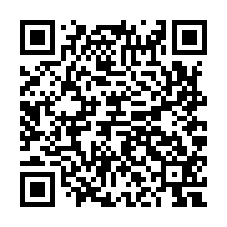 QR code for DLFI13