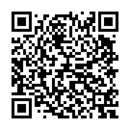 QR code for DLI410