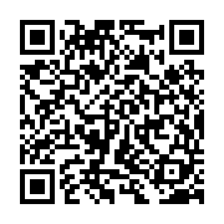 QR code for DLIR49