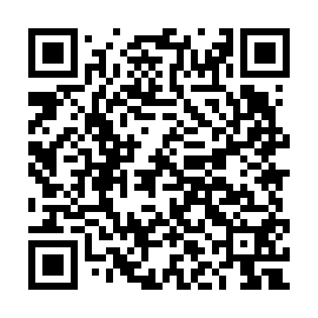 QR code for DLM650
