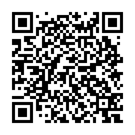 QR code for DLQ333