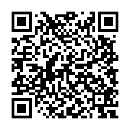 QR code for DLT509