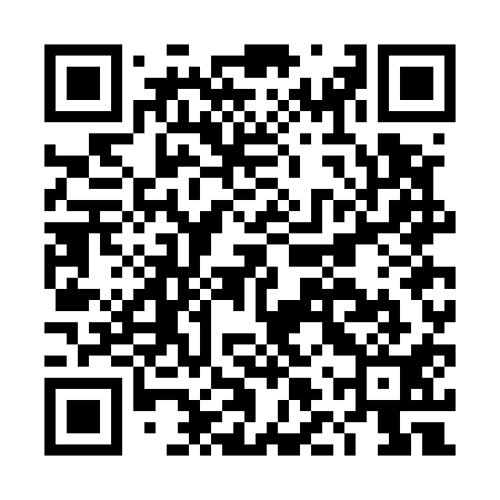 QR code for DLWE11