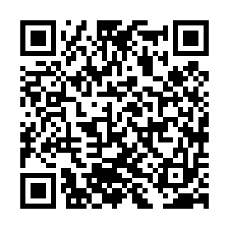 QR code for DLX413