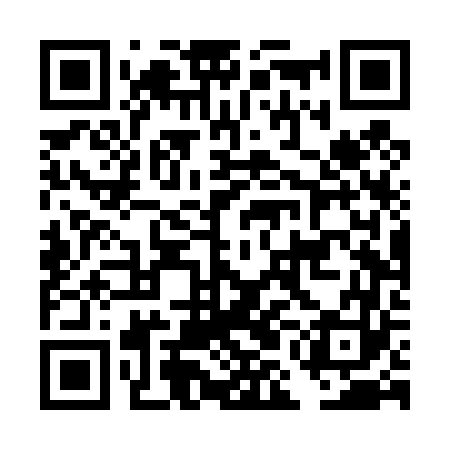 QR code for DMDT63