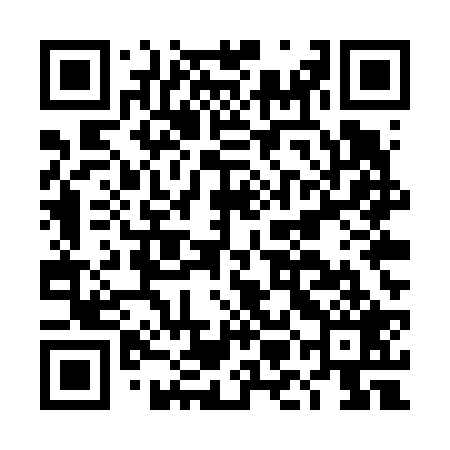 QR code for DMEV29