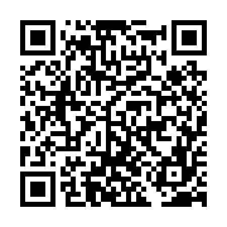 QR code for DMG256
