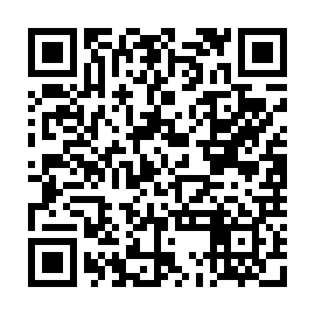 QR code for DMGD29