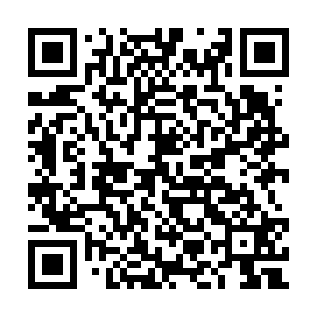 QR code for DMIF21