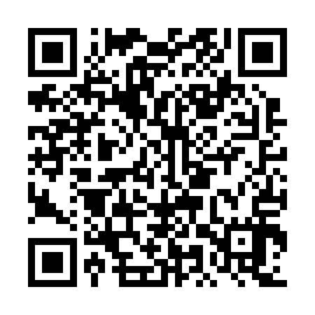 QR code for DMVB17