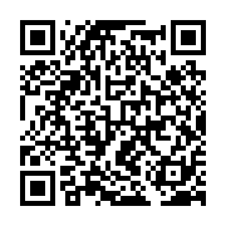QR code for DMVR11