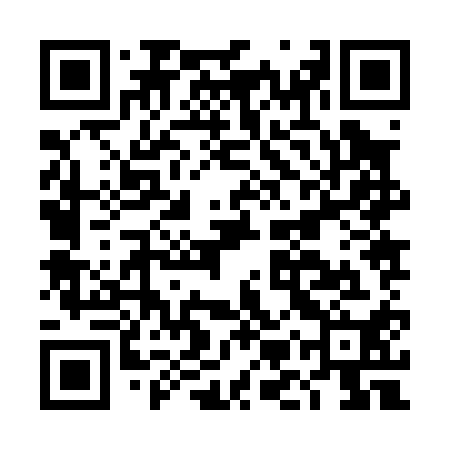 QR code for DMZ010