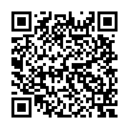 QR code for DNS595