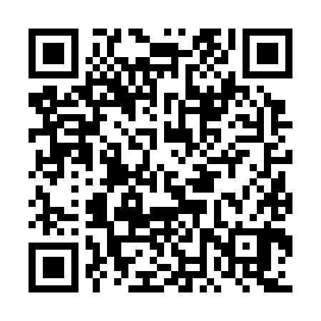 QR code for DNV380