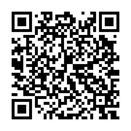 QR code for DNZP93