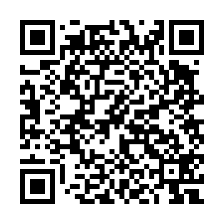 QR code for DOR419