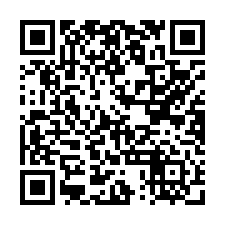 QR code for DPAL41