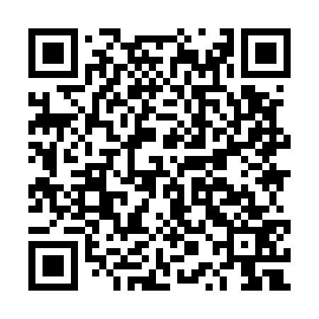 QR code for DPI573