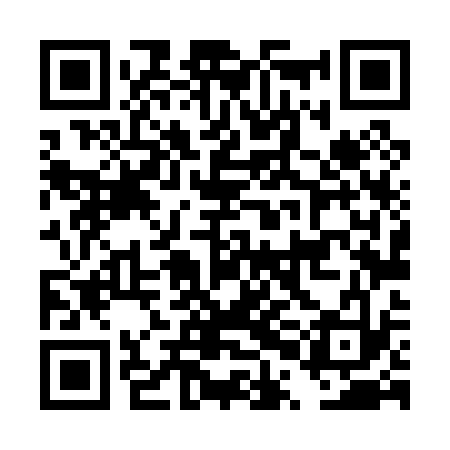 QR code for DPL033