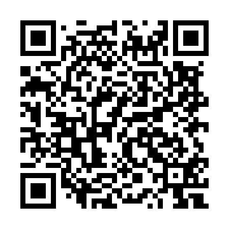 QR code for DPMM11