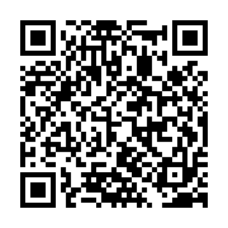QR code for DQEL13