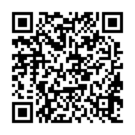 QR code for DQG298