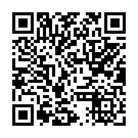 QR code for DQLV03
