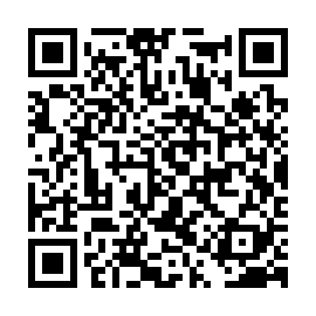 QR code for DQSS29